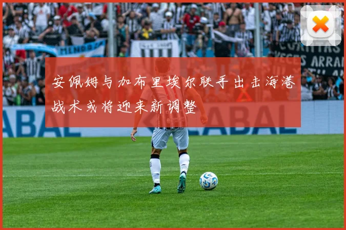 安佩姆与加布里埃尔联手出击海港战术或将迎来新调整