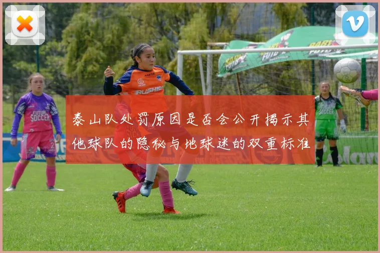 泰山队处罚原因是否会公开揭示其他球队的隐秘与地球迷的双重标准