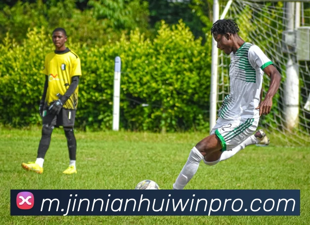 金年会平台生态图